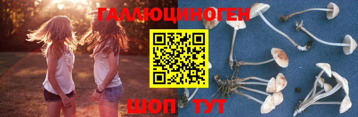 Галлюциногенные грибы Cubensis Жуковский
