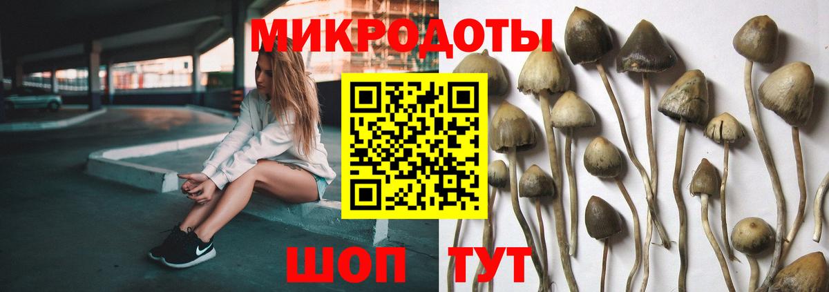 Жуковский  Галлюциногенные грибы Psilocybe  Псилоцибиновые грибы Cubensis  Вход с VPN 